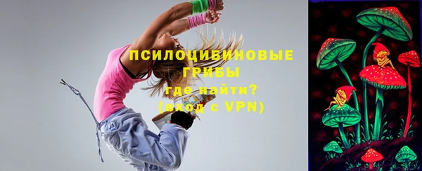 мдпв Беломорск