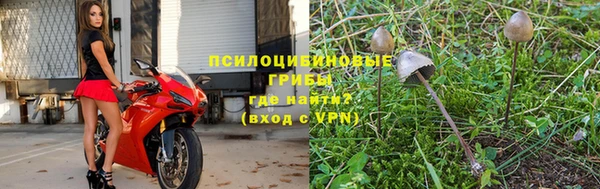 ПСИЛОЦИБИНОВЫЕ ГРИБЫ Белокуриха