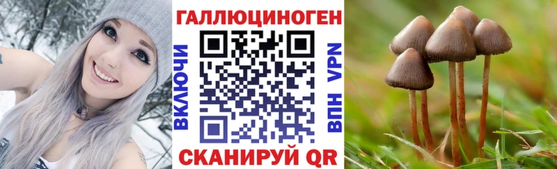 Галлюциногенные грибы прущие грибы  Пыть-Ях 